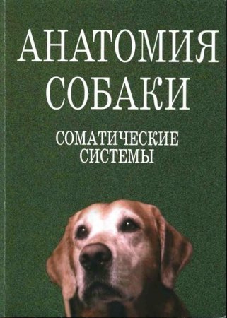 Обложка к Анатомия собаки. Соматические системы (2003) PDF