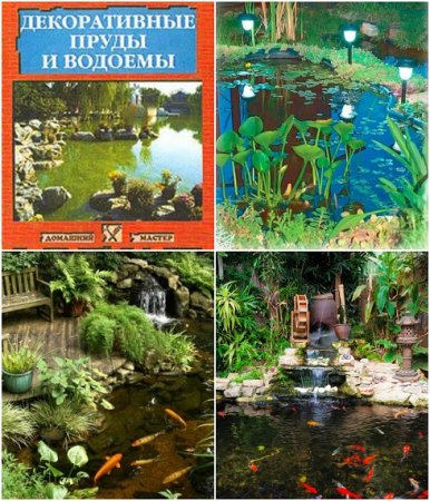 Обложка к Наталья Иванова. Декоративные пруды и водоемы