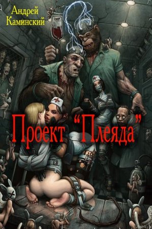 Обложка к Андрей Каминский. Проект Плеяда. Сборник книг