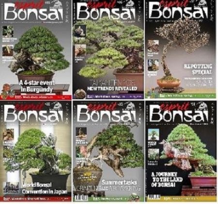 Обложка к Подшивка журналов Esprit Bonsai International за 2017 год