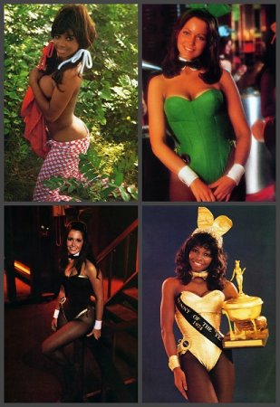 Обложка к Playboy Bunnies №2 (1979)