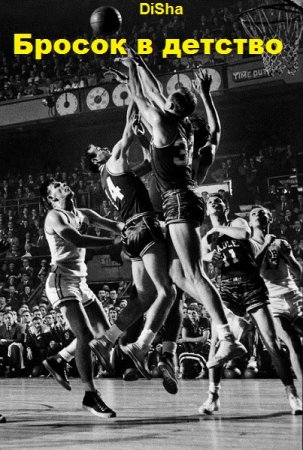 Обложка к DiSha. Бросок в детство. Сборник книг
