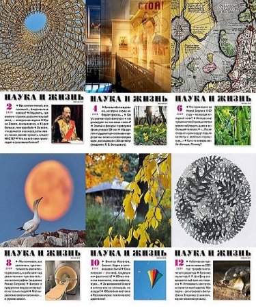 Обложка к Журнал - Наука и жизнь. Подшивка за 2021 год