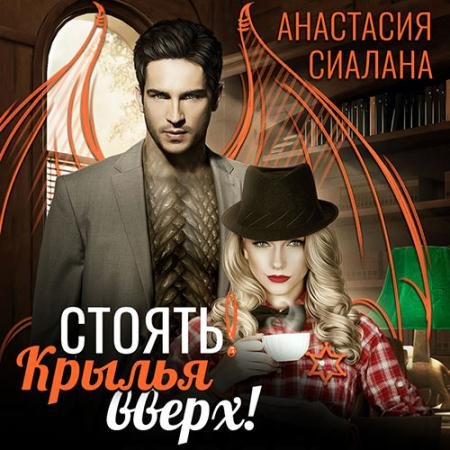 Обложка к Аудиокнига - Стоять! Крылья вверх! (2023) Сиалана Анастасия